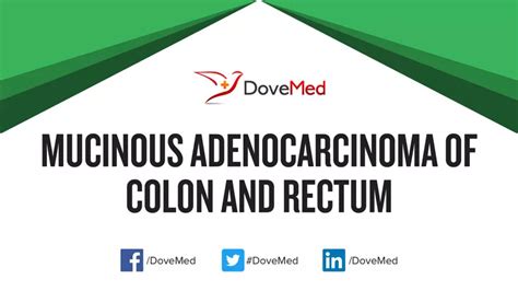 Mucinous Adenocarcinoma Of Colon And Rectum Dovemed