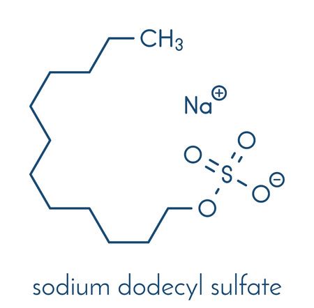 Ilustraci N Del Sodium Dodecyl Sulfate Sds Id Imagen