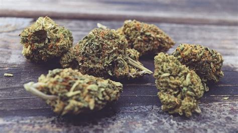 Top 20 Best Hemp Flower Strains Reviewed Of 2023