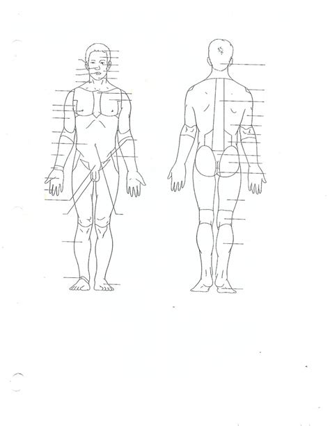 Advanced Bio Body Region labeling 3 Diagram | Quizlet