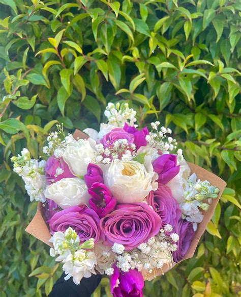 Lily Blooms (@lilyblooms___) • Instagram photos and videos