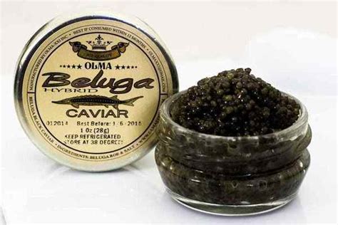 Top Grade Beluga Sturgeon Caviar - Top Grade Beluga Sturgeon Caviar ...