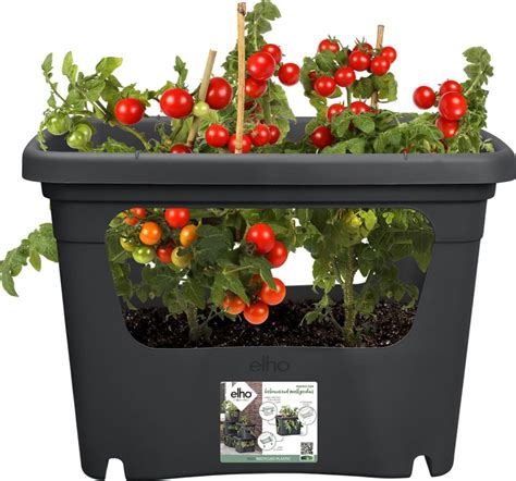 Elho Bac Green Basics Stack Grow Large Bloomling Belgique