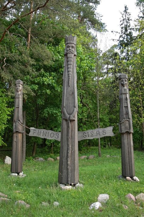 Punios šilas Nemuno kilpų regioniniame parke