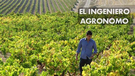 Todo Lo Que Debes Saber Sobre El Campo De Estudio De Un Ingeniero