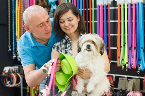 Matériel et accessoires indispensables pour avoir un chien