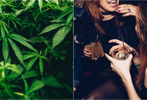 MARIHUANA ILI ALKOHOL ŠTO JE ŠTETNIJE KONZUMIRATI Znanstvenici dali