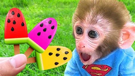 Baby Monkey Bon Bon Rides Car To The Farm To Visit Rabbit Duckling And