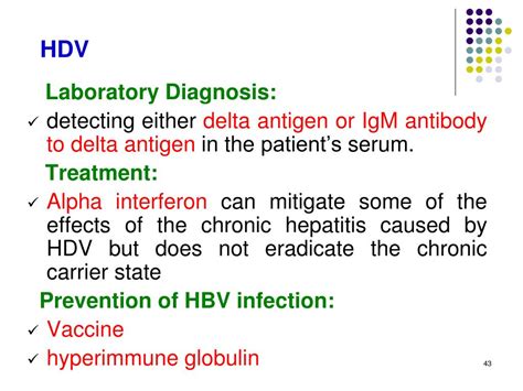 PPT - Double-Stranded RNA Viruses PowerPoint Presentation, free ...