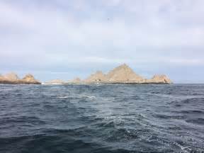 The Farallon Islands, photographed by me! The Great White, Great White ...