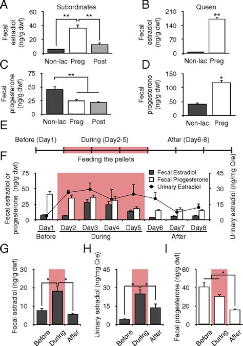 Responses To Pup Vocalizations In Subordinate Naked Mole Rats Are