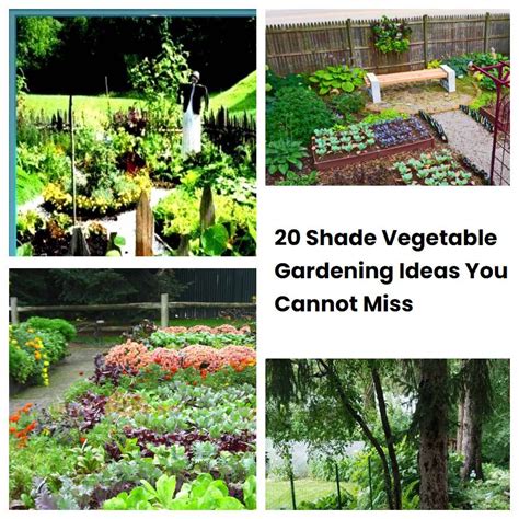 20 Shade Vegetable Gardening Ideas You Cannot Miss Sharonsable