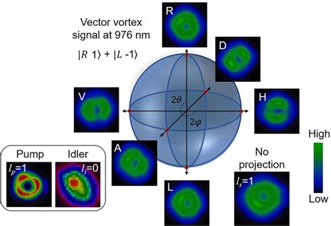 Intensity Profiles Of The Signal Vector Vortex Beam Of OAM Mode L S