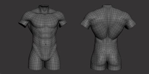 Torso Male Topology Uv Map Blender Market