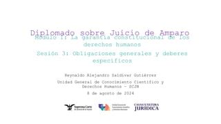 Diplomado de amparo edición 2024 scjn mx PPT