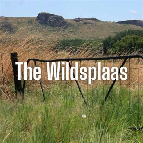 The Wildsplaas Wessel Ebersohn