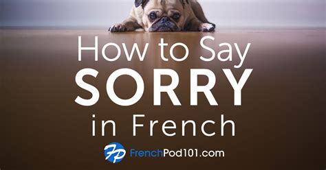 How To Say Sorry In French