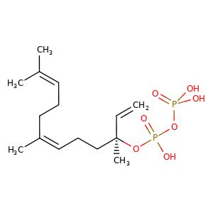 NEROLIDYL PYROPHOSPHATE 6Z 3S