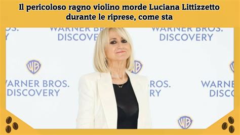 Il Pericoloso Ragno Violino Morde Luciana Littizzetto Durante Le