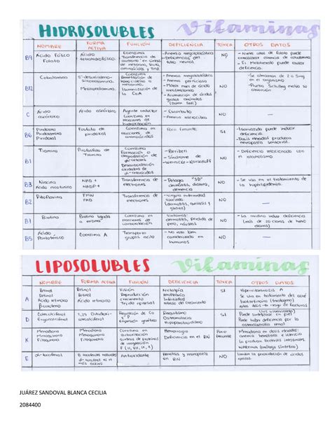 Cuadro Comparativo Vitaminas Bioqu Mica Y Biolog A Molecular Uanl