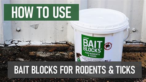 How To Use Bait Blocks For Rodents And Ticks By JT Eaton DIY Rodent