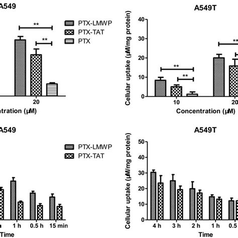 Intracellular Drug Accumulation Of Ptx And Ptx Cpps A Cells Were