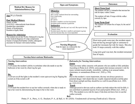 Concept Map With References Fixed Nursing Diagnosis Risk For Injury