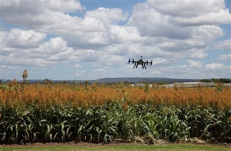 Accelerating The Growth Of Smart Farming With Agri Tech In India