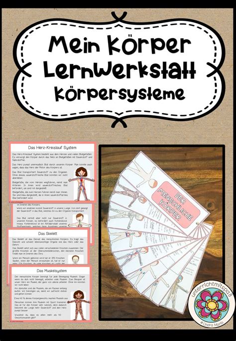 Lernwerkstatt Mein Körper Körpersysteme und Vorgänge Wissenskartei