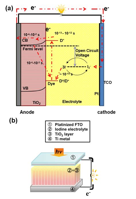 Schematic Diagram Of A Dye Sensitized Solar Cell Dssc A Principle Download Scientific