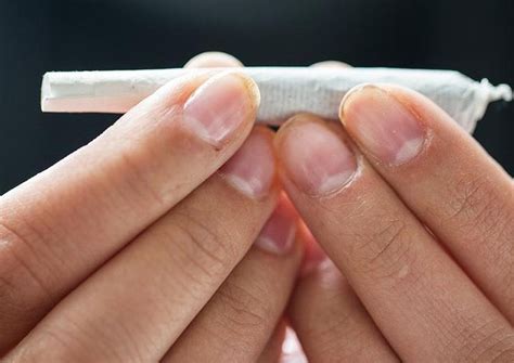 How to Roll a Perfect Joint or blunt | AllBud