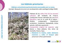 PDF QUÉ ES LA BIODIVERSIDAD FORESTAL eforown ctfc cat pdf 49a Que