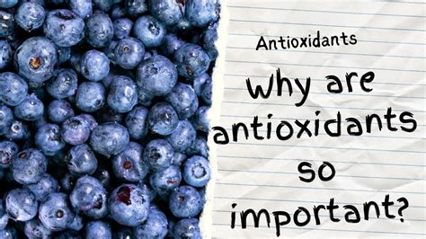 The Benefits Of Antioxidants Youtube