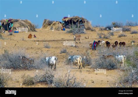 Forts In Desert Of Pakistan Stock Photo Alamy