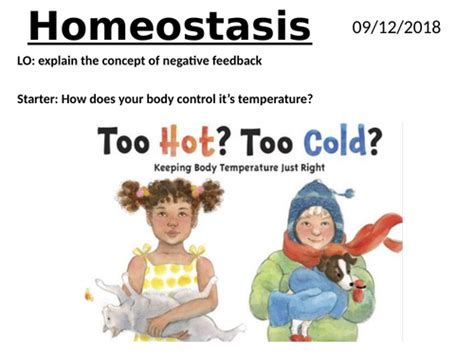 Homeostasis Teaching Resources