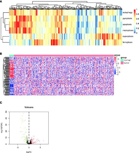 Identification Of Differentially Expressed Pan Pcd Related Genes In