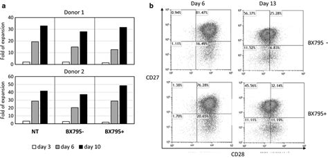 Cell Growth Rate And Cd27cd28 Expression Of Transduced T Cells A T