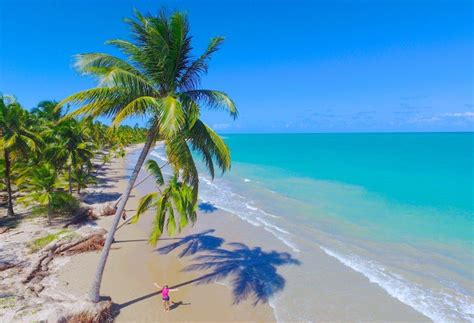 Pontos Tur Sticos De Alagoas O Que Fazer Melhores Passeios