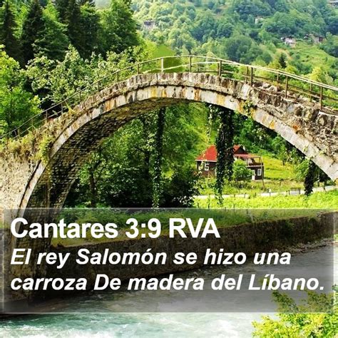 Cantares Rva El Rey Salom N Se Hizo Una Carroza De Madera Del