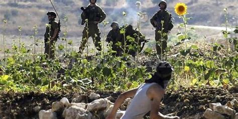 Cerca De 60 Muertos Desde El Inicio De La Ofensiva Terrestre De Israel