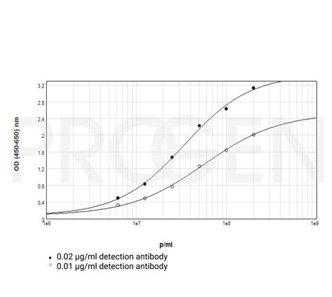 Anti M13 Fd F1 Filamentous Phages Mouse Monoclonal B62 FE2