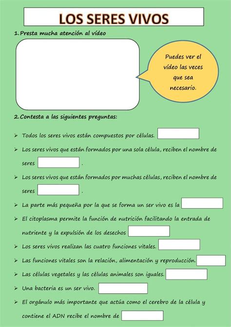 Las Funciones Vitales De Las Plantas Interactive Worksheet Hot Sex