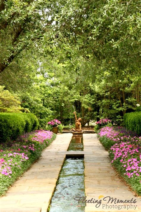 Bellingrath Gardens In Theodore Al Photograph By Elizabeth M Gelineau