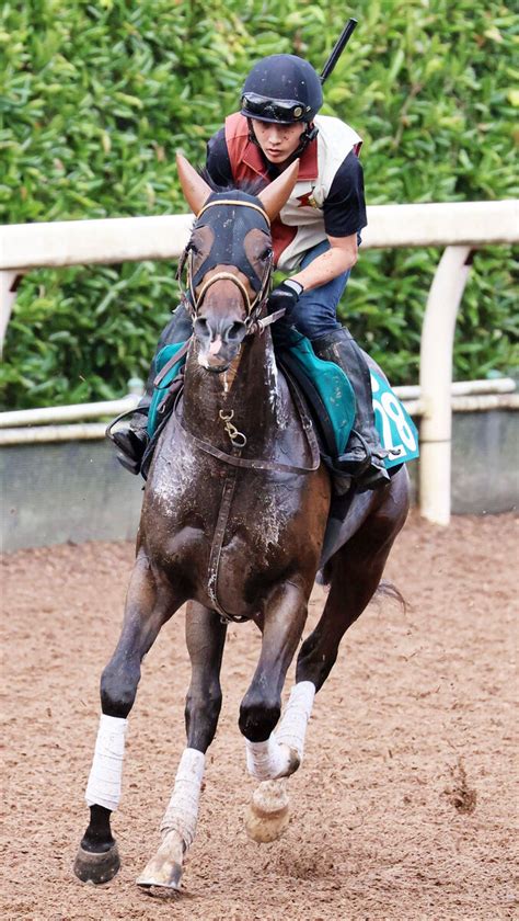 【小倉5r・2歳新馬】良血馬サイードが接戦を制す 福永祐一騎手「スピードの持続力を見せてくれた」 スポーツ報知