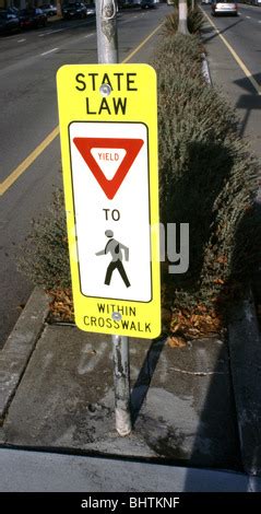 Sign State Law Yield To Pedestrians Within Crosswalk Stock Photo Alamy