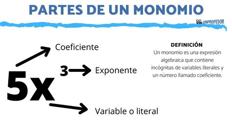 Partes De Un MONOMIO Con Ejemplos Y Ejercicios Resueltos