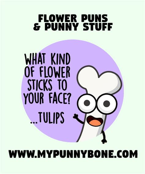 Funny Flower Puns That Make You Bloom With Laughter Mypunnybone