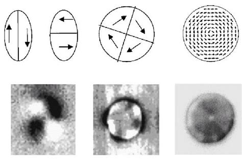 2 Magnetic Force Microscopy Images And Suggested Domain Configuration