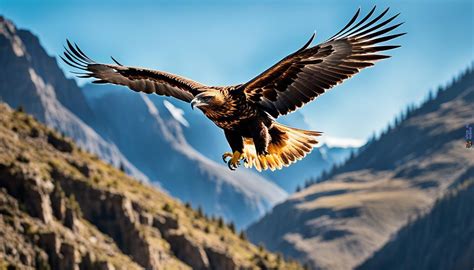 golden eagles majestic raptors unveiled
