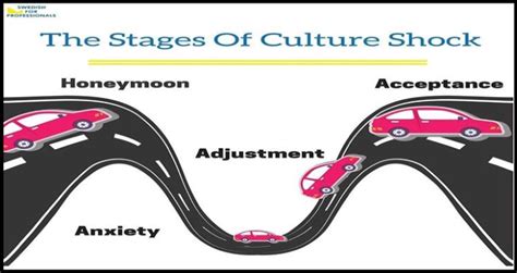 The stage of Culture Shock... | Download Scientific Diagram